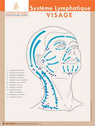 cartographie du drainage lymphatique de la tête