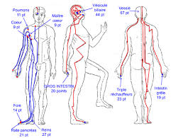 meridiens d'racupuncture