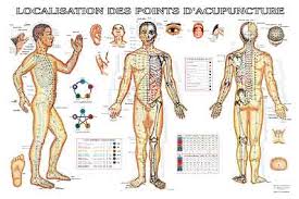 Méridiens d'acupuncture